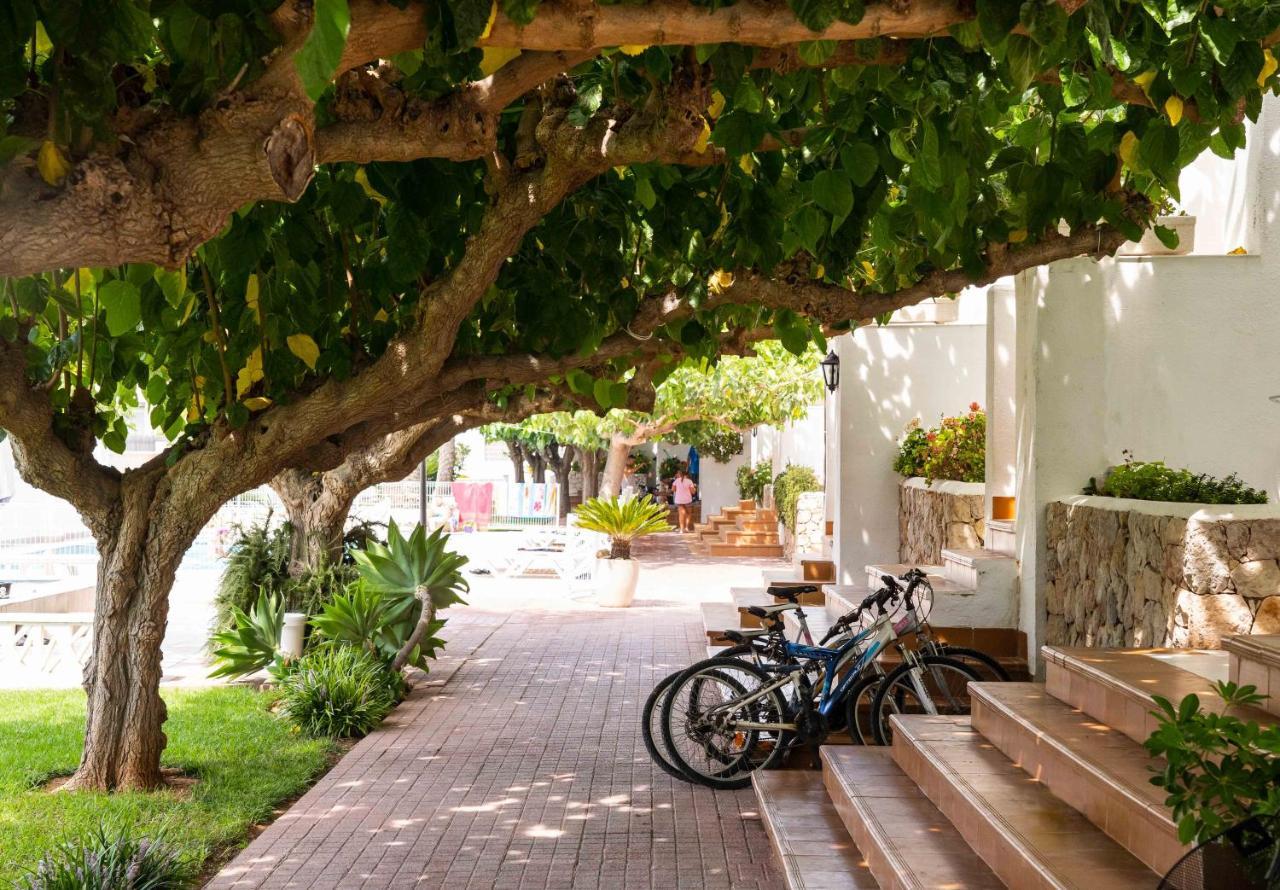 Apartamentos Els Romers Benicarlo-Peñíscola Exterior foto